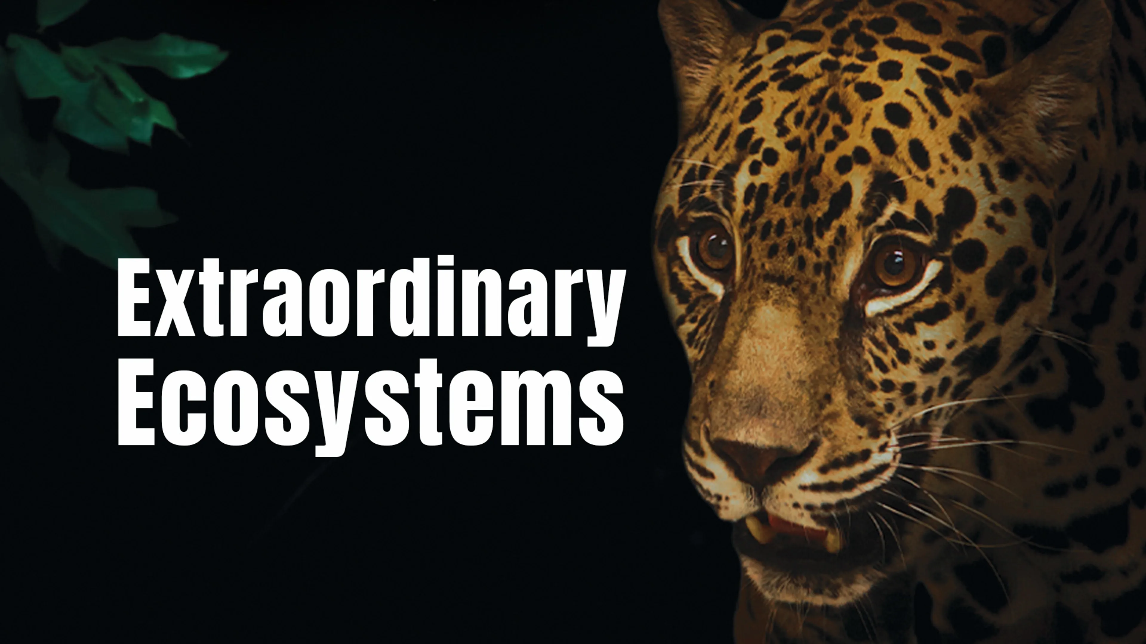 Extraordinary Ecosystems poster